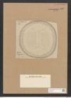 Campylodiscus bifurcatus A. Schm. (de-Toni-Nr.: Genus 57, Species 2483) Zeichnungen Sammlung Grunow Nr. 4990 (NHMW-BOT-W0373231)